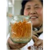 江蘇蟲草瓶廠家，蟲草培養(yǎng)瓶，冬蟲夏草瓶，蟲草瓶批發(fā)